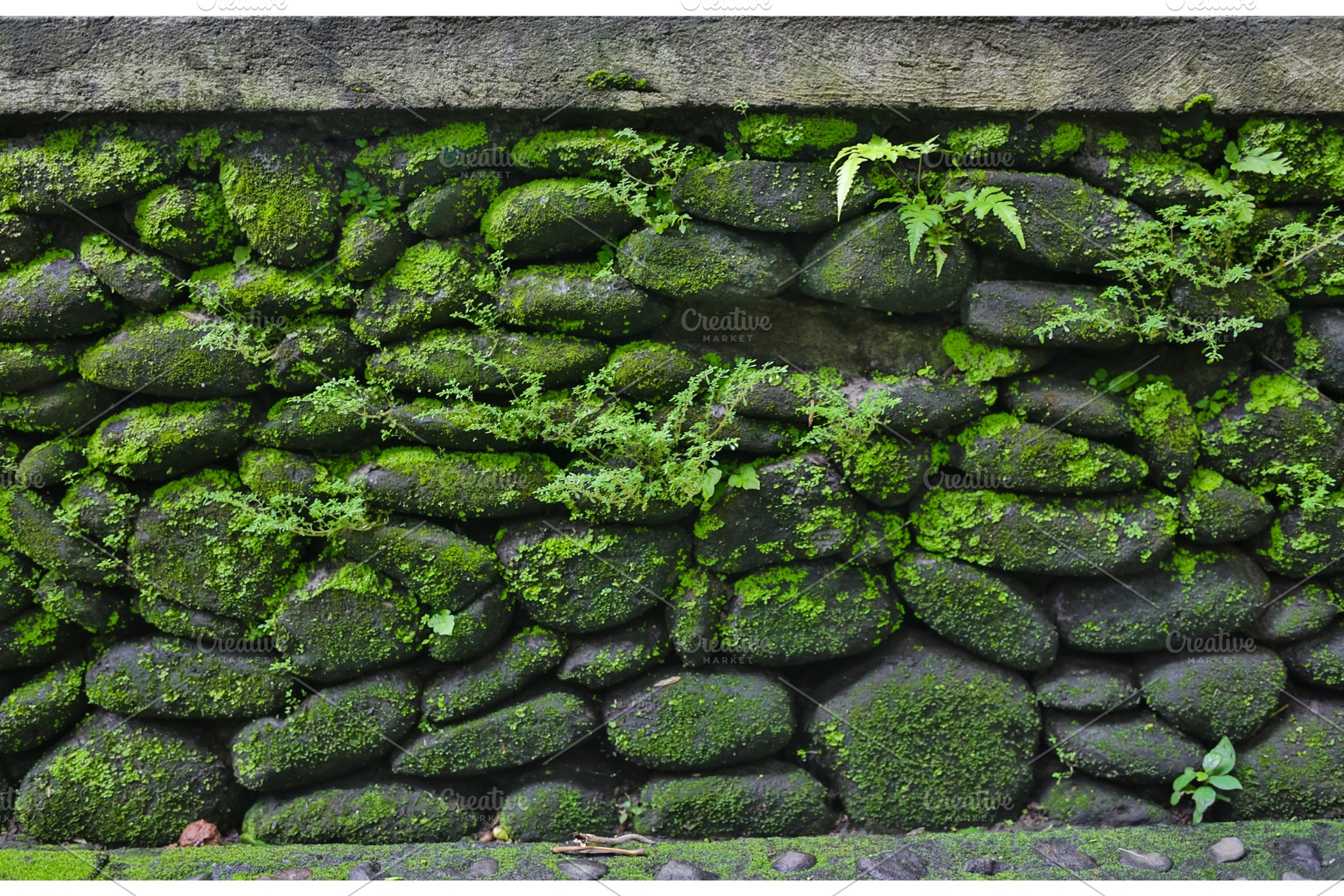 Texture of stone wall with green stock photo containing moss and stone, an Abstract Photo by coob.kz