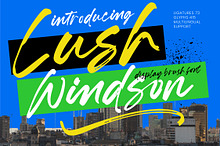 Lush Windson Display Brush Font