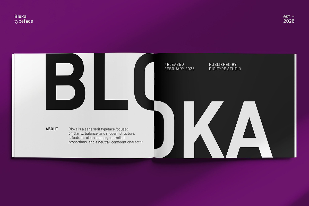 Bloka | Sans Serif Family, a Font by Digitype Studio (Photo 9 of 14)
