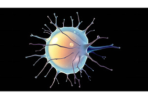 3D illustration of a biological cell, an Illustration by tilialucida