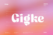 Milgo, a Serif Font by Ardyanatypes (Thumbnail 4 of 12)