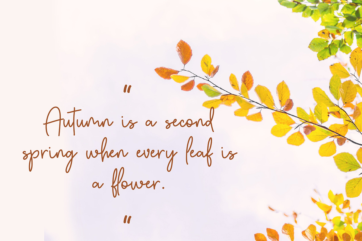 Autumn Fairy Signature Monoline Font preview 5