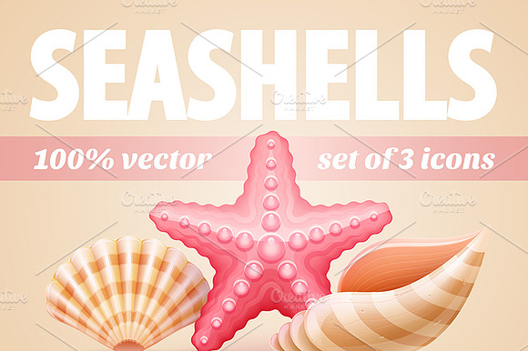 Icons With Seashells And Starfish