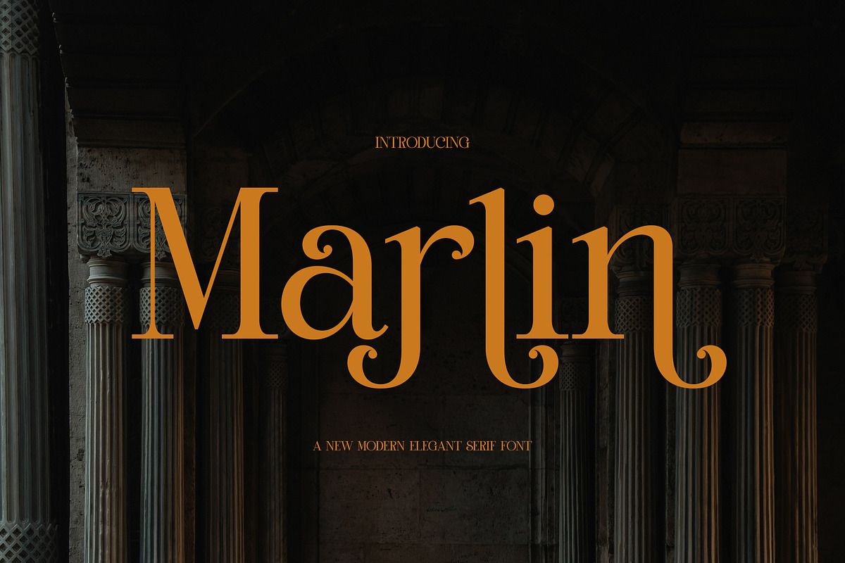 Marlin Modern Elegant Serif, a Serif Font by Alfinart (Photo 1 of 11)