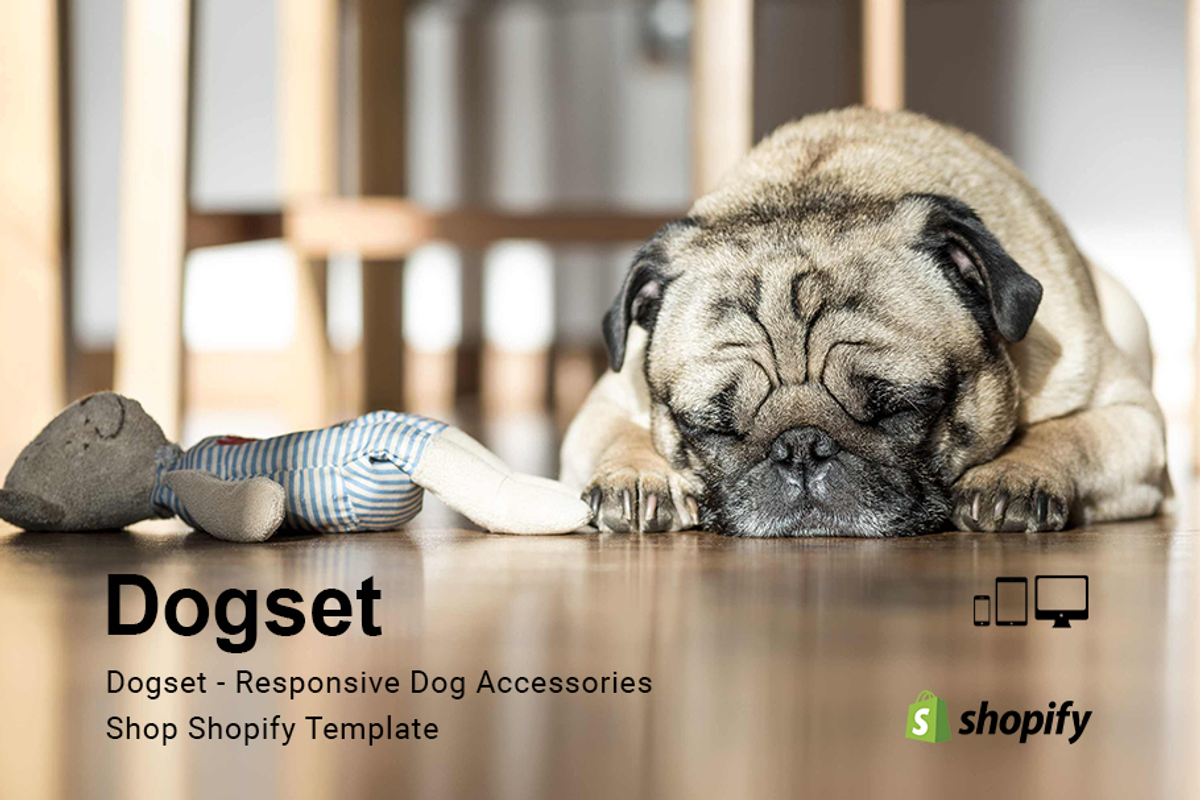 Dogset – Accessories Shopify Theme, a Shopify Template by ThemeTidy Shopify Agency (Photo 1 of 2)