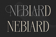 Nebiard Classic Serif Font, a Serif Font by Storytype Studio (Thumbnail 8 of 15)
