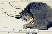Vintage Astrology Illustrations, an Illustration by Secret Helper (Thumbnail 6 of 9)