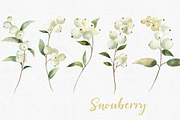 Watercolor Snowberry set, a Graphic by Colibri Watercolor (Thumbnail 3 of 5)
