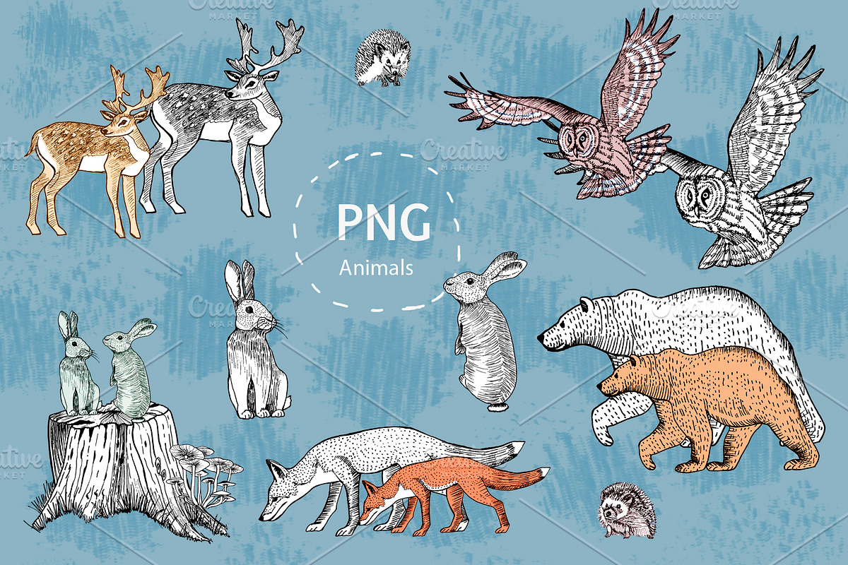 Forest animals, trees, mushrooms., an Animal Illustration by lilisavelieva (Photo 2 of 6)