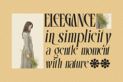 Vrassco - Modern Display Serif, a Serif Font by Qweera Studio (Thumbnail 9 of 12)