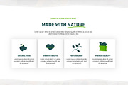 Organic Farm Food Elementor Template, a WordPress Template by HasnainDEV (Thumbnail 5 of 7)