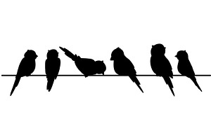 Birds sitting on electric wires, an Animal Illustration by Vectorbuum