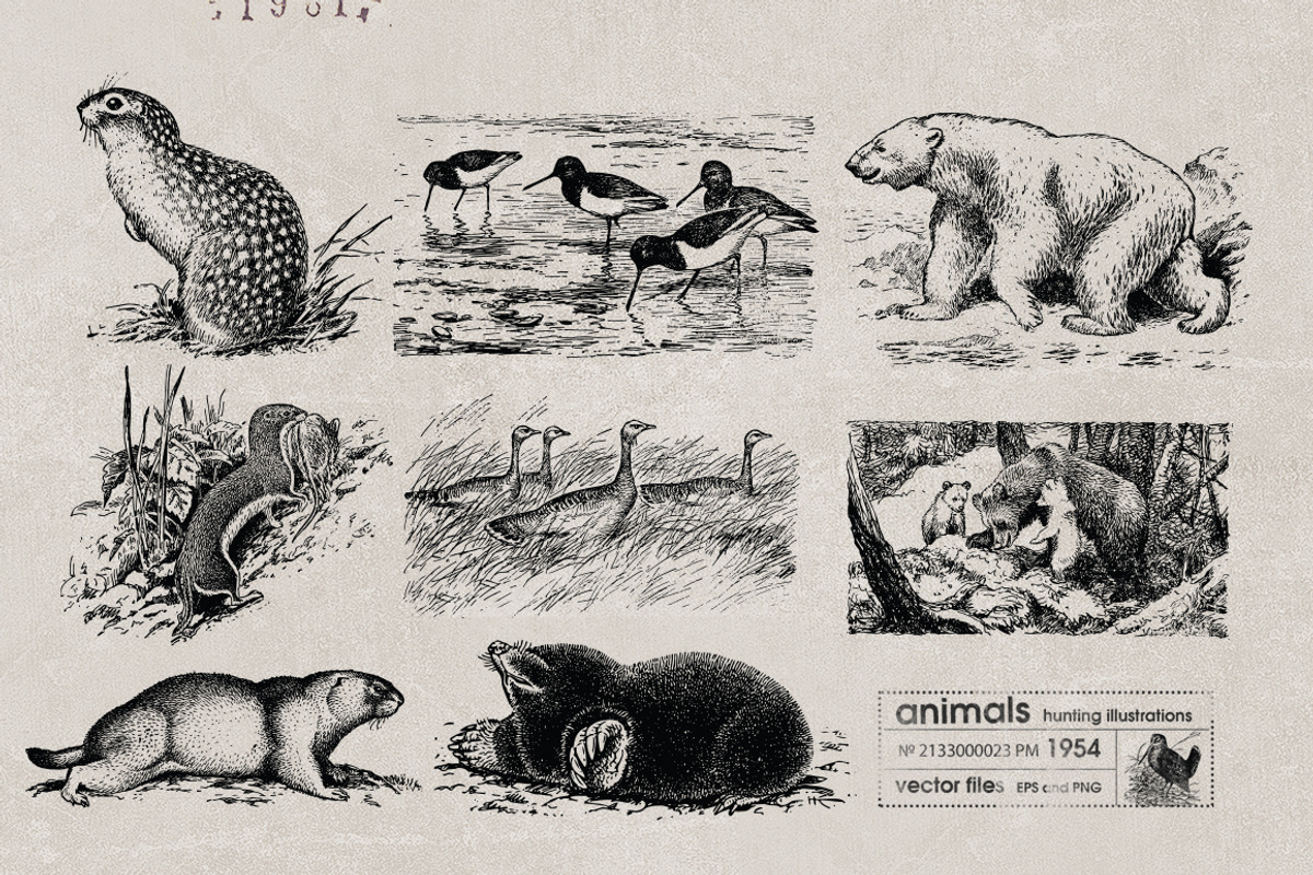 Vintage Bundle 2500+ Free Update, an Animal Illustration by Retro Machine (Photo 164 of 170)