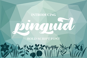 Pinguid Bold Script Fonts