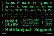 Auromiya - Modern Serif Font, a Serif Font by Koplexs Studio (Thumbnail 12 of 13)