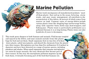 Ocean’s Cry. Save the ocean set, an Object Graphic by AnMark (Thumbnail 3 of 14)