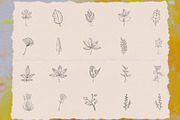 Bundle 105 Vector Botanical Elements, an Illustration by Mariia Kovalchuk (Thumbnail 4 of 6)