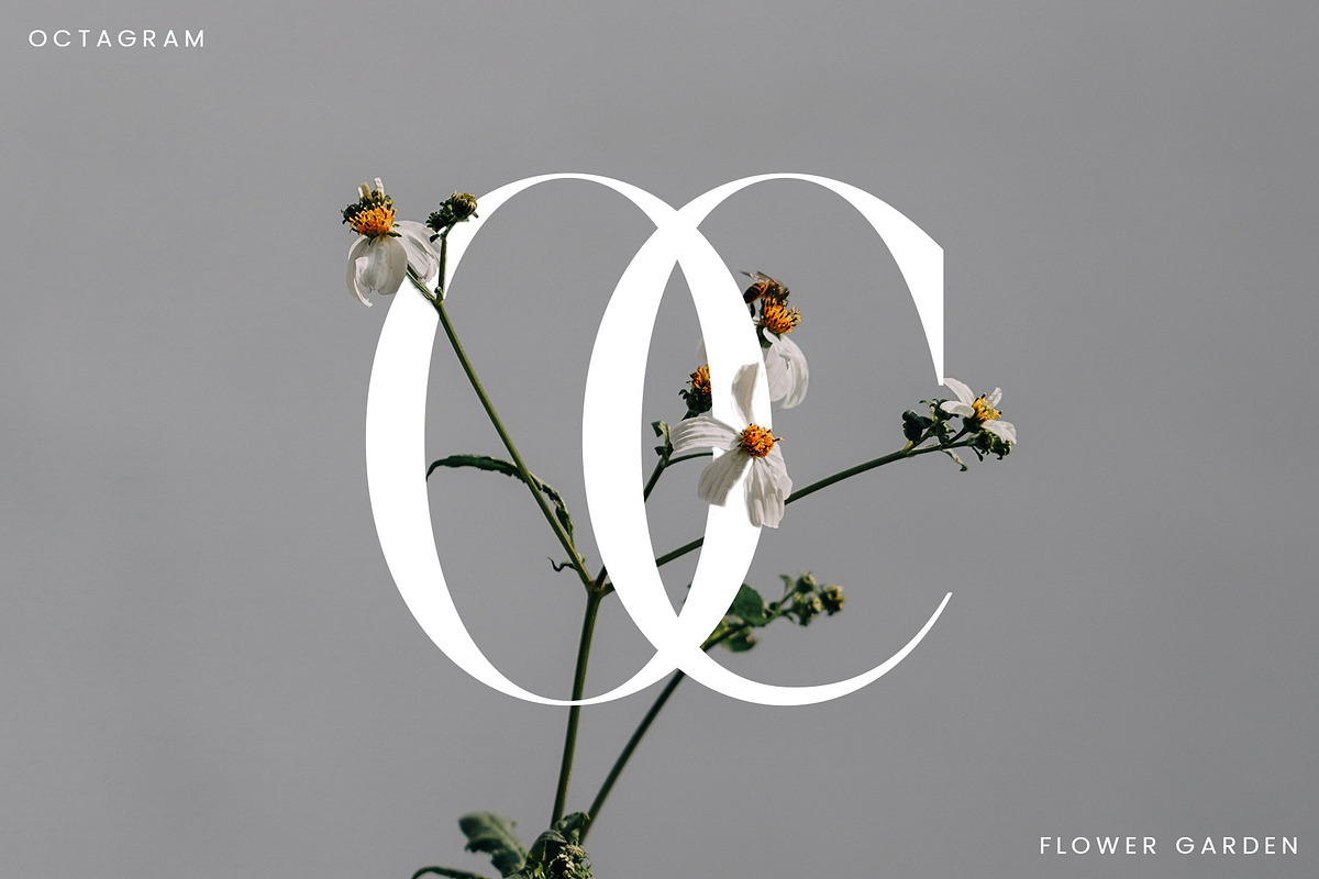 Castica - Modern Serif Font, a Serif Font by Aqeel_Art (Photo 6 of 12)