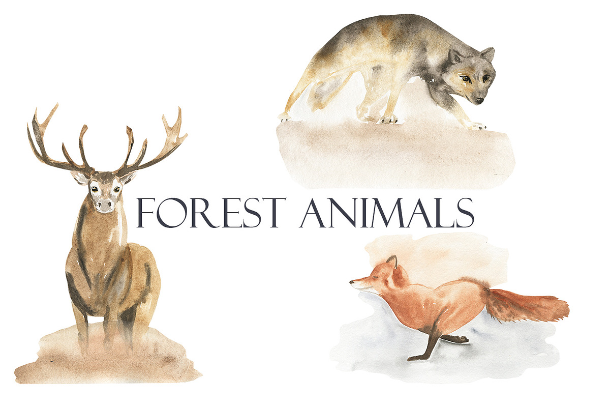 Magic of november, an Animal Illustration by Love Watercolor Store (Photo 10 of 12)