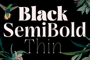 Rasbern — 18 Fonts, a Serif Font by Nasir Udin (Thumbnail 2 of 17)