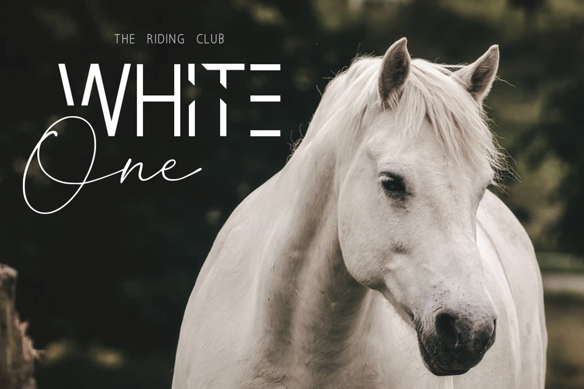 Invisible Beauty. Chic Duo Font. preview 7