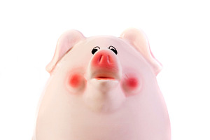 Piggy Bank #1