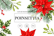 Poinsettia christmas png clipart, an Illustration by ARTVracovska (Thumbnail 1 of 5)