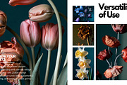 Botanical Fine Art Macro Collection, a Nature Photo by Virgo Studio (Thumbnail 5 of 6)