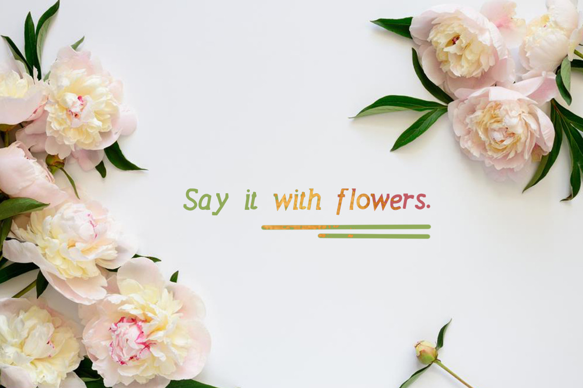 Peony Font preview 2