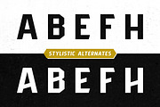 Pittsbrook Sans | 4 Fonts, a Sans Serif Font by Twicolabs Fontdation (Thumbnail 7 of 14)