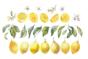 Lemon Garden Watercolor Cliparts, a Decorative Illustration by Jeanna Draw (Thumbnail 10 of 11)