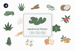 Medicinal Plants Illustration, an Object Graphic by Jump Studio