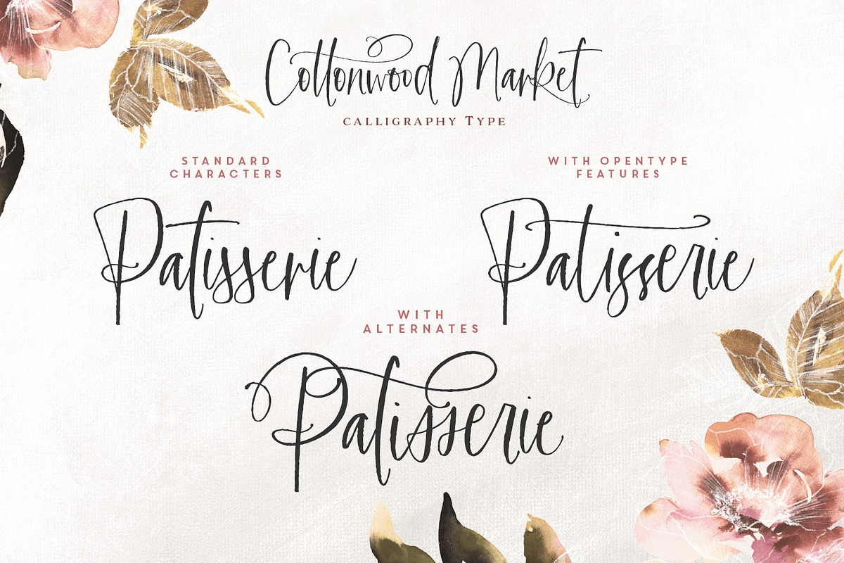 Cottonwood Market Typeface, a Script Font by Callie Rian & Co. (Photo 18 of 18)