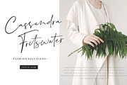 Dalmatins // Elegant Signature Font, a Script Font by Sronstudio (Thumbnail 3 of 14)