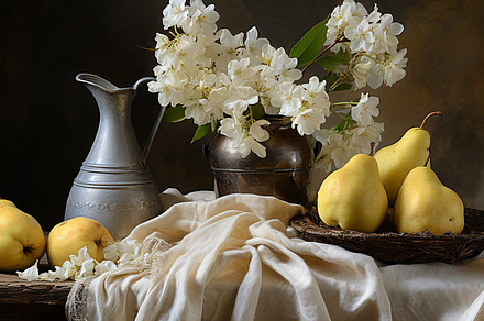Classic still life with fresh pears, a Wallpaper Photo by Elena Vagengeim