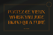Dellucion, a Serif Font by Burntilldead (Thumbnail 2 of 13)