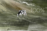 Countryside Hills & Cows Wallpaper, a Wallpaper Graphic by apollinariia_shop (Thumbnail 5 of 13)