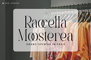 Castica - Modern Serif Font, a Serif Font by Aqeel_Art (Thumbnail 2 of 12)