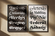 Sitges Typeface, a Serif Font by Alex_Camacho_Studio (Thumbnail 10 of 10)