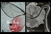 Bad Scan: Black & White Overlays, a Texture Graphic by Purple (Thumbnail 4 of 21)