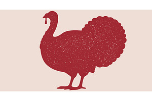 Turkey bird silhouette. Graphic