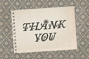 Field Notes, a Symbol Font by Bruised Goods (Thumbnail 10 of 13)