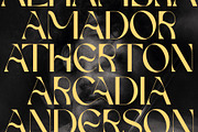 FRENCH CHATEAUX - Chic Display Font, a Sans Serif Font by SilverStag Type Foundry (Thumbnail 11 of 22)