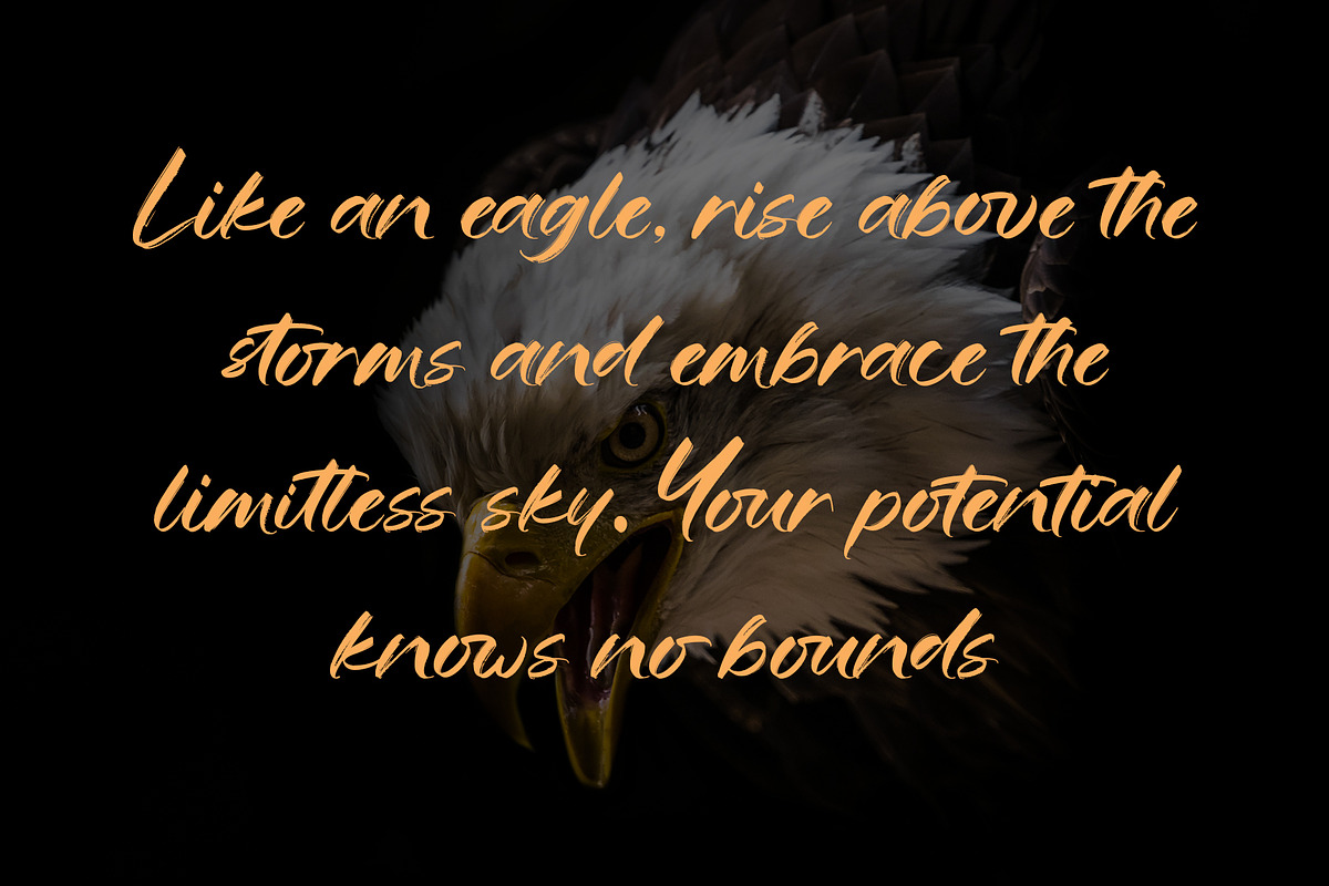 Eagle Horizon, a Handwritten Font by Letterara (Photo 2 of 13)