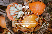 Desktop Lightroom Presets CRANBERRY, a Plug-in Add-On by Victoria Bee Presets (Thumbnail 2 of 29)