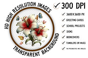 Whimsical Spring Lily Flowers PNG, an Illustration by Craft Nest (Thumbnail 2 of 11)