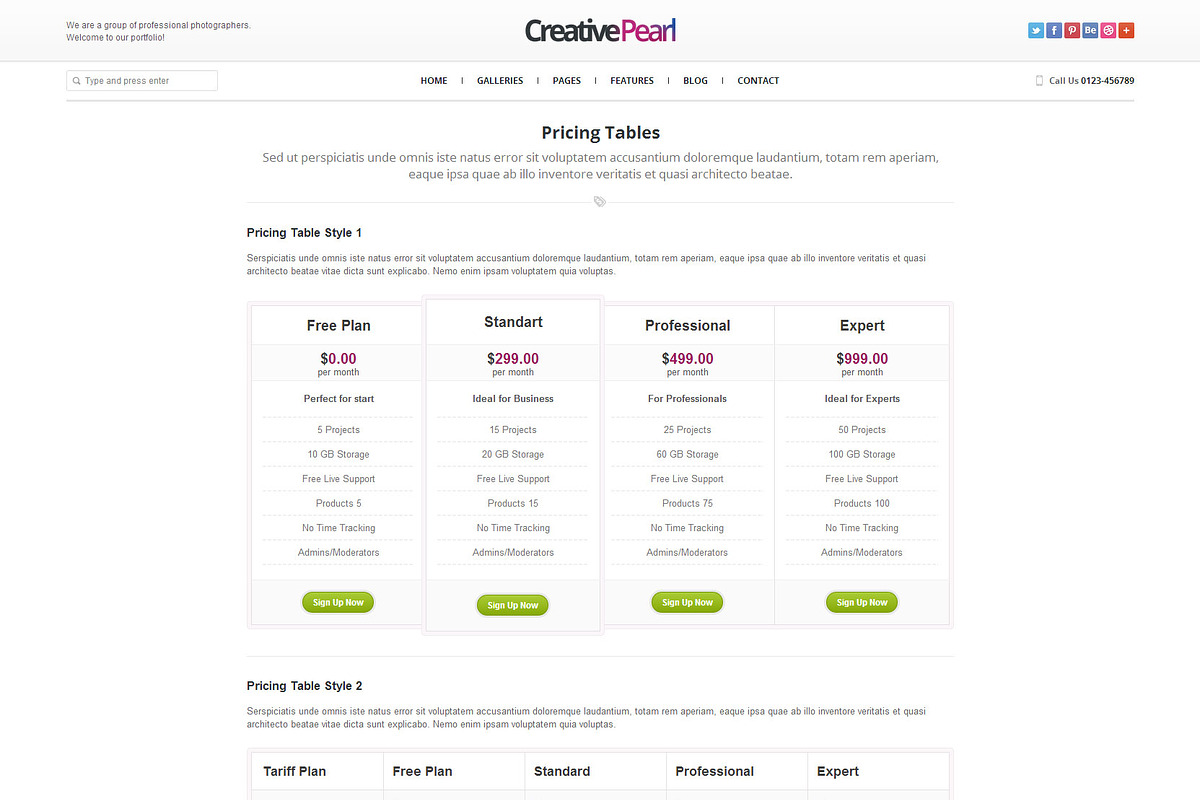 CreativePearl Photography Responsive, a Websites & App Template by weblion (Photo 10 of 16)