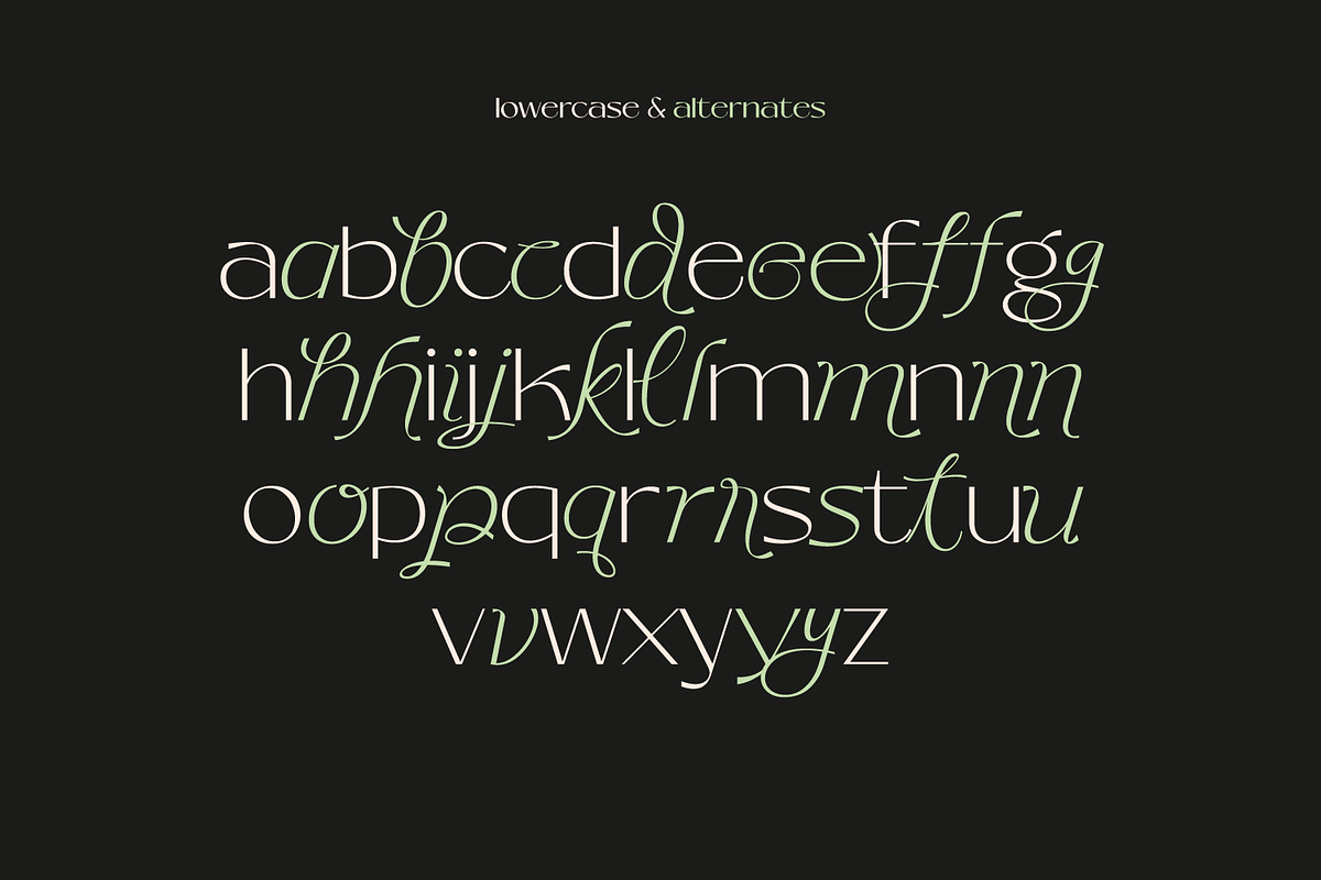 Mango Style - Modern Branding Font, a Font by creativemedialab (Photo 12 of 14)