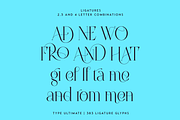 Type Ultimate - serif logo font, a Serif Font by VP Fonts (Thumbnail 9 of 24)
