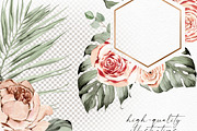 Siesta Tropcal set, an Object Illustration by Olga Koelsch (Thumbnail 4 of 9)